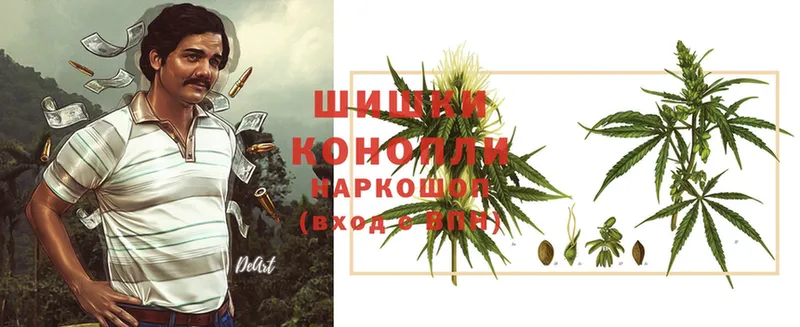 Марихуана THC 21%  гидра ссылки  Беломорск 